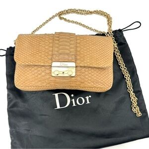 Dior Nude Snakeskin New Lock Pouch Chain Clutch, Authentic